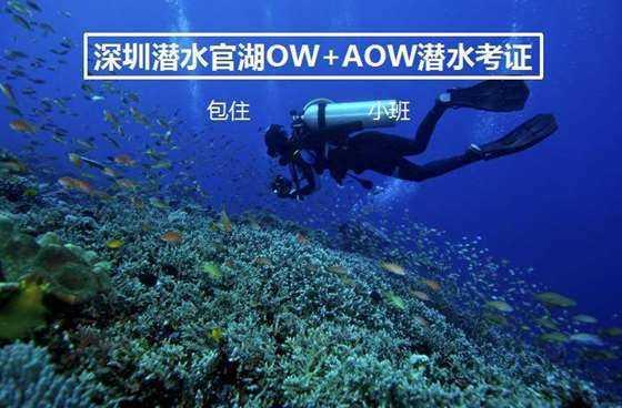 搬家服务